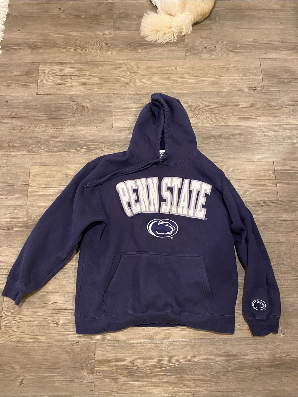 Penn State Nittany Lions Hoodie